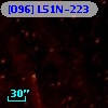 [O96] L51N-223