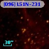 [O96] L51N-231