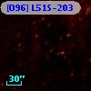 [O96] L51S-203