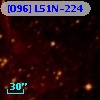 [O96] L51N-224