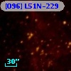[O96] L51N-229