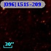 [O96] L51S-209