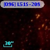 [O96] L51S-208