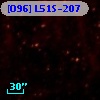 [O96] L51S-207