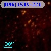 [O96] L51S-221