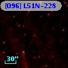 [O96] L51N-228