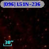 [O96] L51N-236