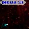 [O96] L51S-215