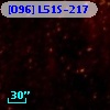 [O96] L51S-217