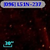 [O96] L51N-237