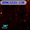 [O96] L51S-220