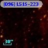 [O96] L51S-223