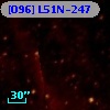 [O96] L51N-247