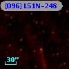 [O96] L51N-248