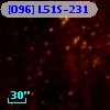 [O96] L51S-231