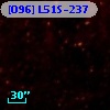[O96] L51S-237