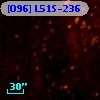 [O96] L51S-236
