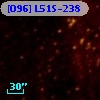 [O96] L51S-238