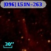 [O96] L51N-263