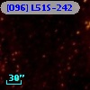 [O96] L51S-242