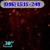 [O96] L51S-249