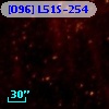 [O96] L51S-254