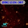 [O96] L51N-307