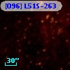 [O96] L51S-263