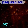 [O96] L51S-265
