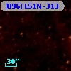 [O96] L51N-313