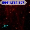 [O96] L51S-307