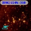 [O96] L54N-310