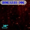 [O96] L51S-306