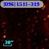 [O96] L51S-319