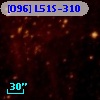[O96] L51S-310