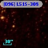 [O96] L51S-308