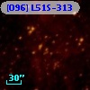 [O96] L51S-313