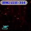 [O96] L51S-314