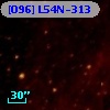 [O96] L54N-313