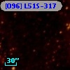 [O96] L51S-317