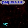 [O96] L51S-316