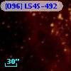 [O96] L54S-492