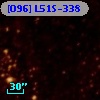 [O96] L51S-338