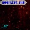 [O96] L51S-349