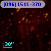 [O96] L51S-370