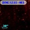 [O96] L51S-403
