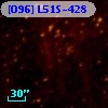 [O96] L51S-428