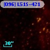 [O96] L51S-421