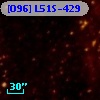 [O96] L51S-429