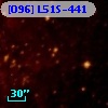 [O96] L51S-441